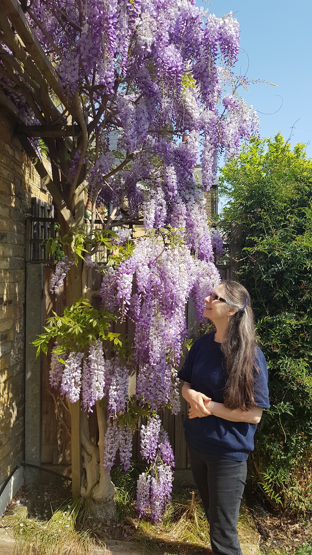 Isabella in front of wisteria